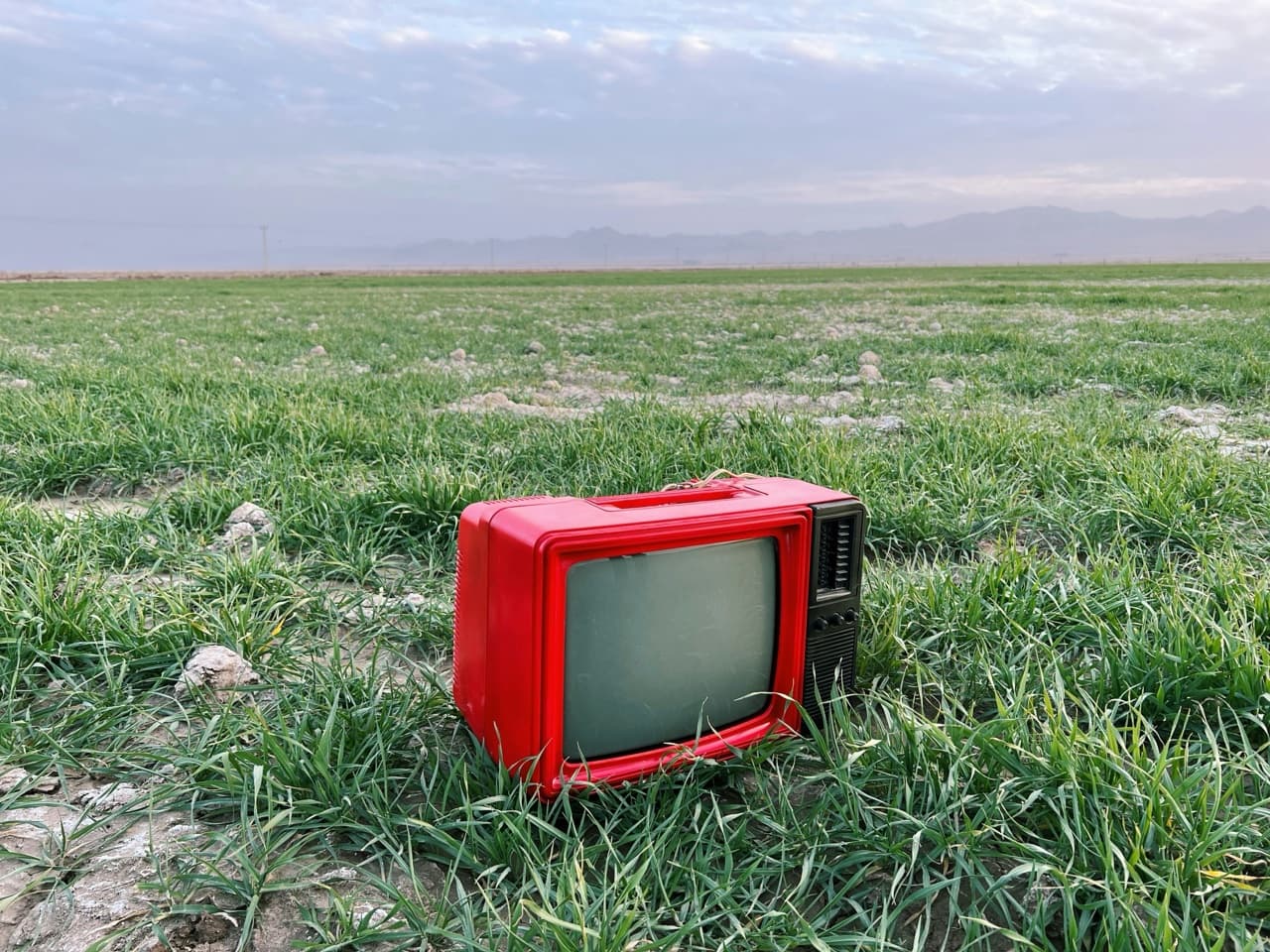 Errors and Omissions Insurance for Tech Companies: Coverage, Costs, and Requirements in 2026